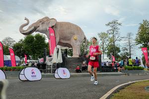 BIB: 
                            <button type="button" onclick="openModal(26528743)" class="btn btn-primary btn-sm float-right btn-popup" data-toggle="modal" data-target=".modal-high-quality">
                        <i class="fas fa-shopping-cart"></i> Add to Cart
                    </button>
                                            <button type="button" onclick="isThisMe(26528743, true)" class="btn btn-success btn-sm float-right btn-popup btn-isme hidden" data-toggle="tooltip" data-placement="bottom" title="นี่คือรูปของคุณใช่ไหม คลิกที่นี่เพื่อเอาเข้าอัลบั้ม">
                        <i class="fas fa-plus"></i> Add to album
                    </button>
                    <button type="button" onclick="isThisMe(26528743, false)" class="btn btn-warning btn-sm float-right btn-popup btn-isnotme hidden">
                        <i class="fas fa-ban"></i> Remove from album
                    </button>